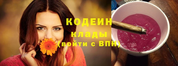 СК Каменск-Шахтинский