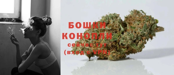 СК Каменск-Шахтинский