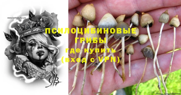 бошки Каменногорск