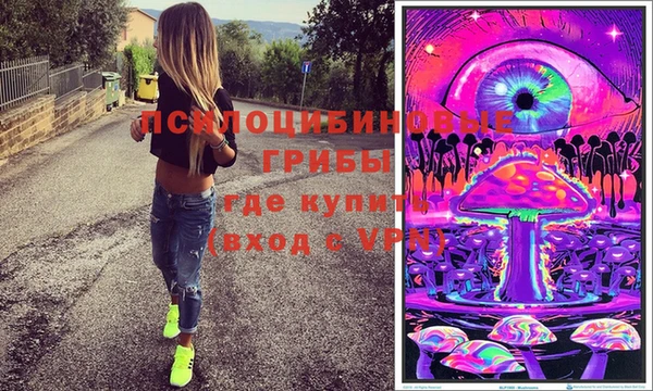 бошки Каменногорск