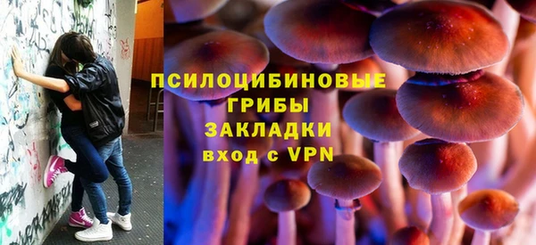 бошки Каменногорск